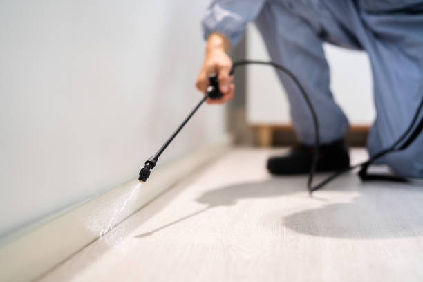 Professional exterminator conducting IPM assessment in Baldwin